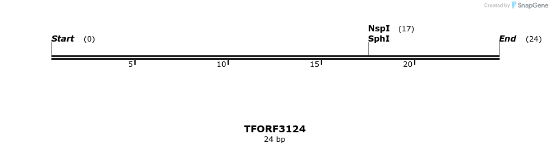 285916_map