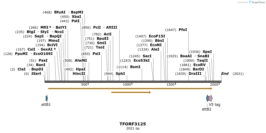 285918_map
