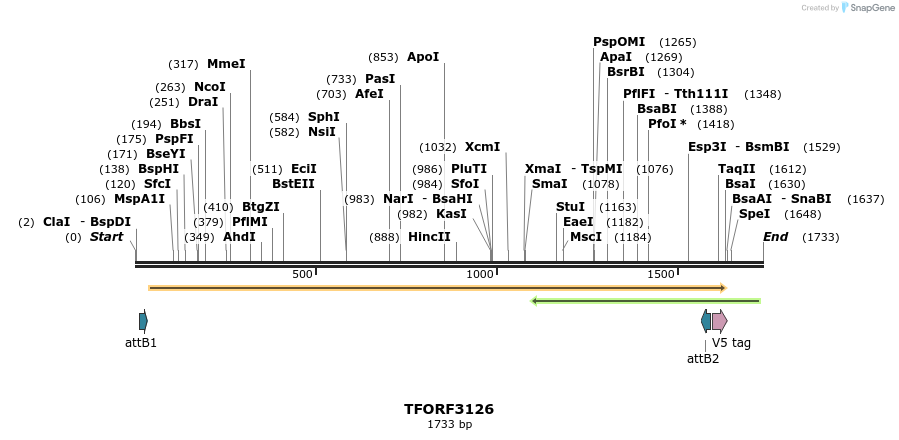 285921_map