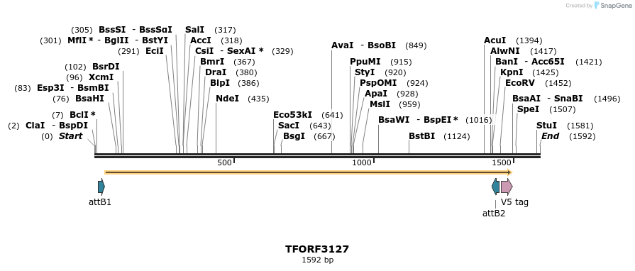 285924_map
