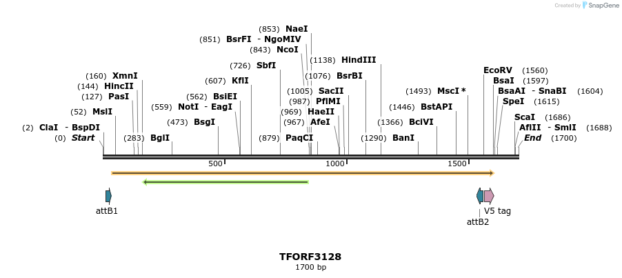 285927_map
