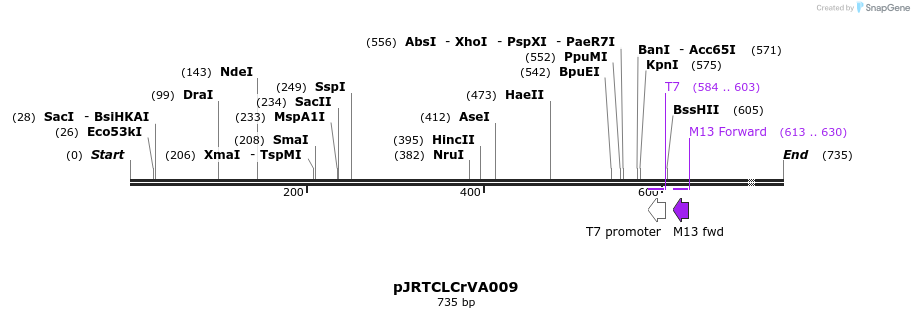 28593_map