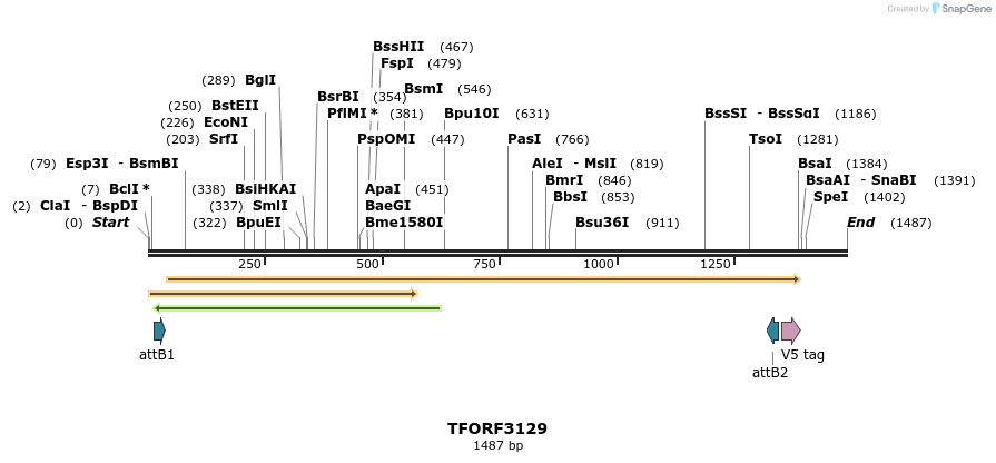 285930_map