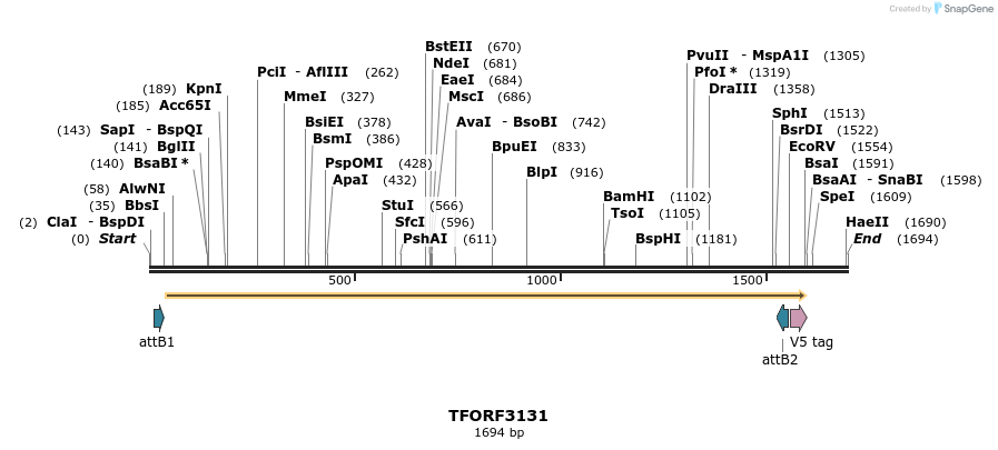 285936_map
