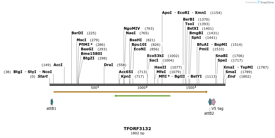 285939_map