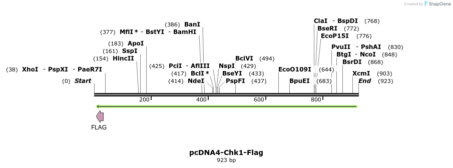 28594_map