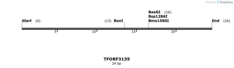 285949_map