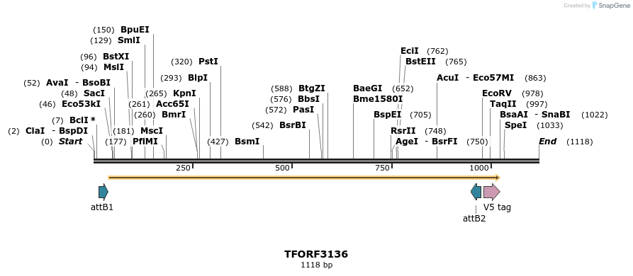 285951_map