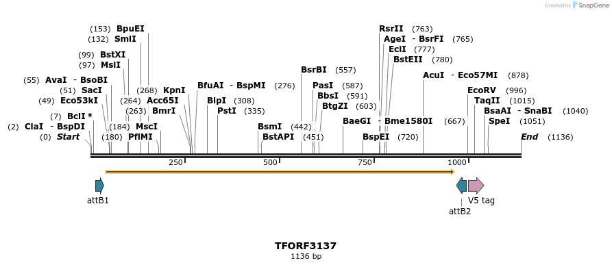 285954_map