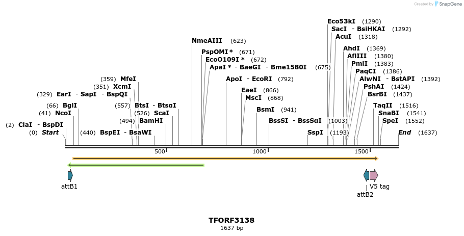 285957_map