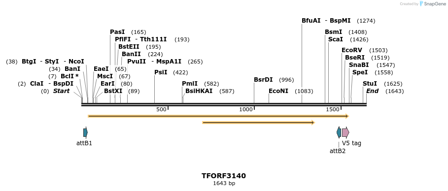 285963_map