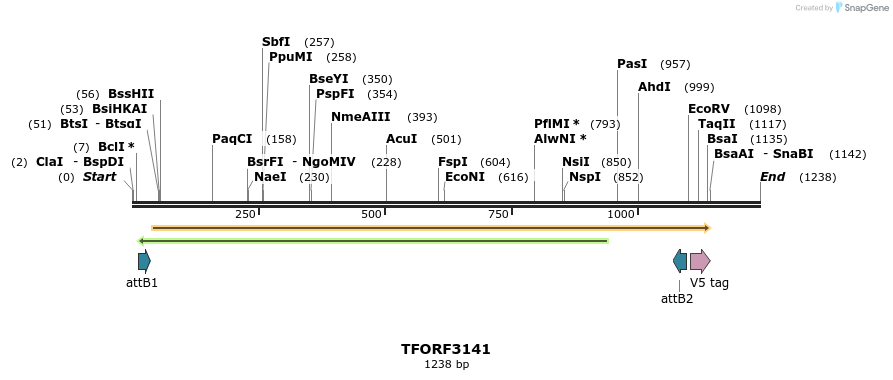 285966_map