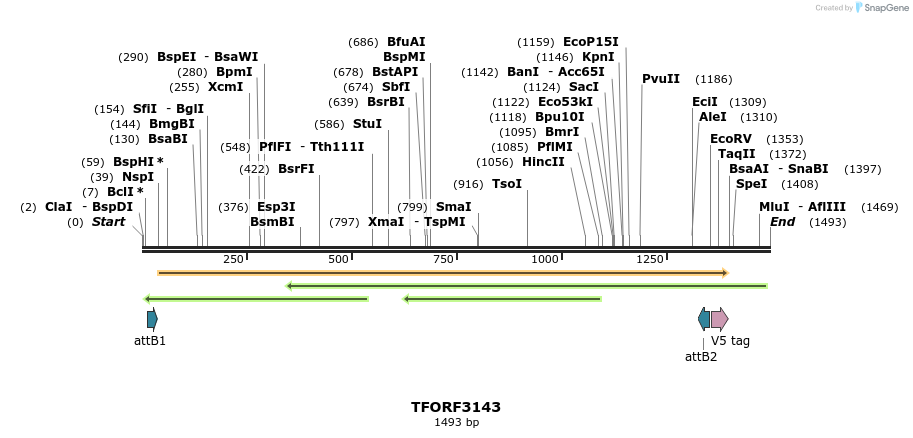 285972_map