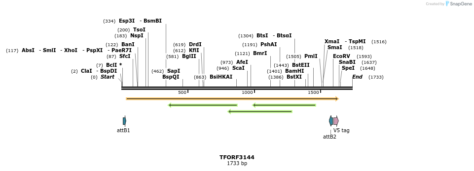 285975_map