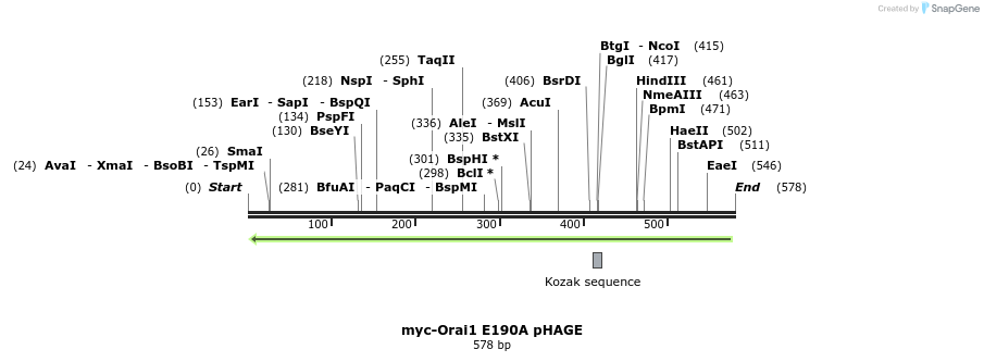 28598_map