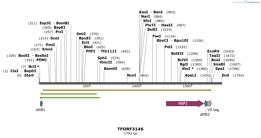 285981_map