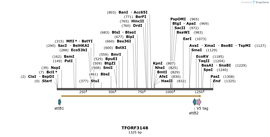 285987_map
