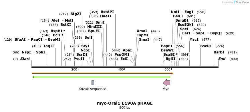 28599_map