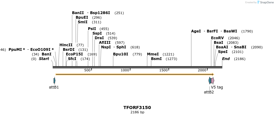 285993_map