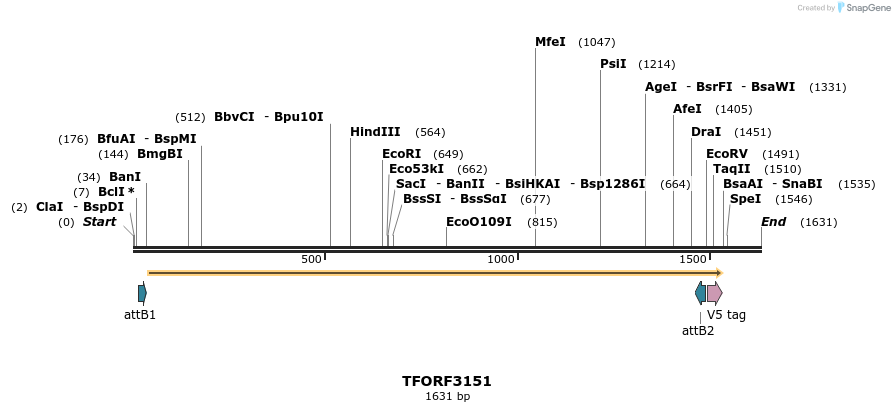 285996_map