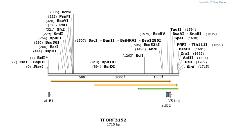 285999_map
