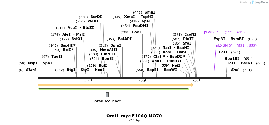 28600_map