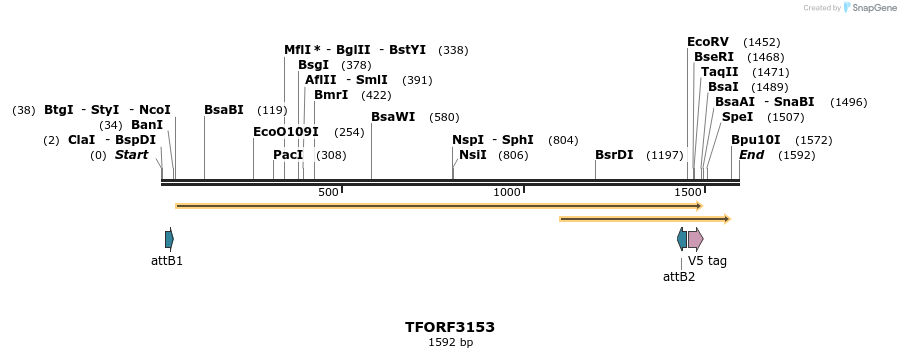 286002_map