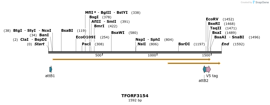286005_map