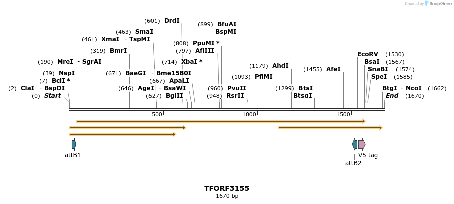 286008_map