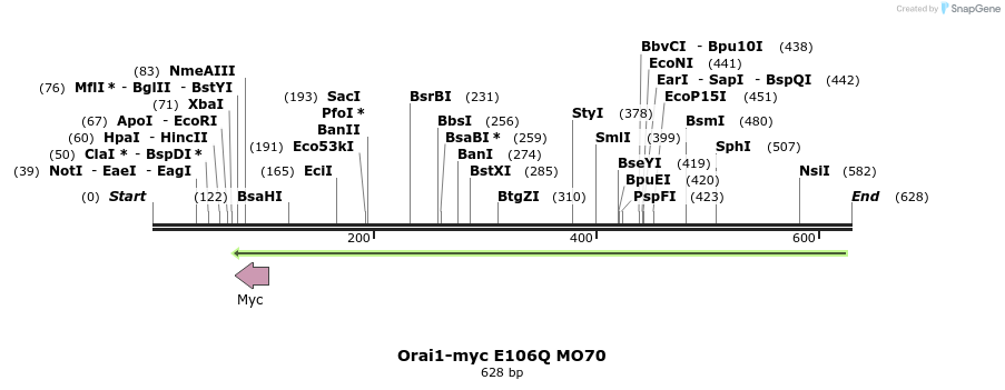 28601_map