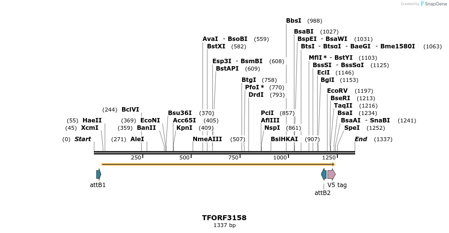 286017_map