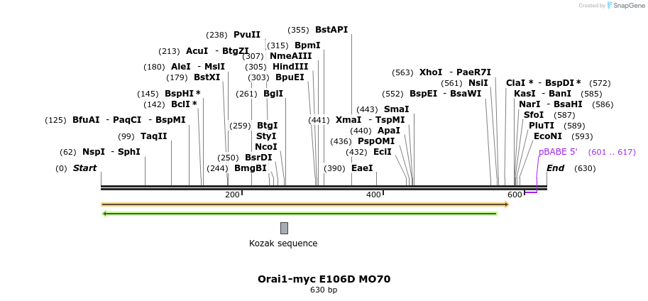 28602_map