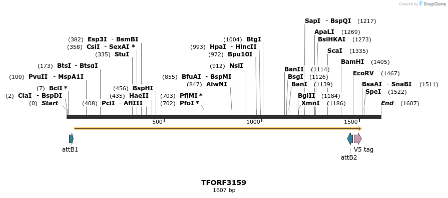 286020_map