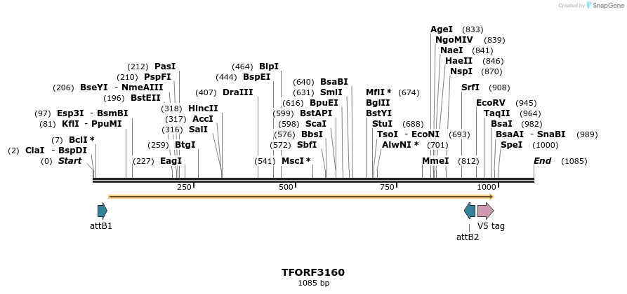 286023_map
