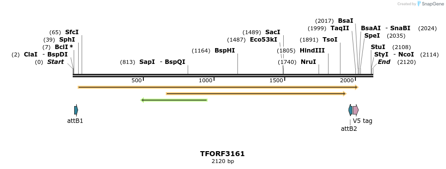 286026_map