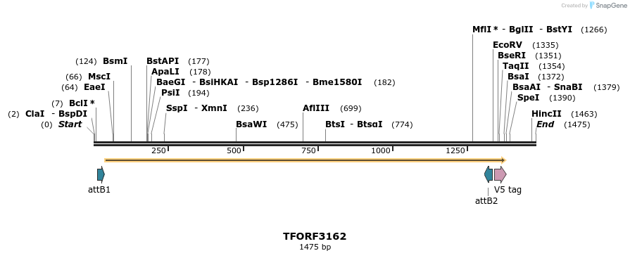 286029_map