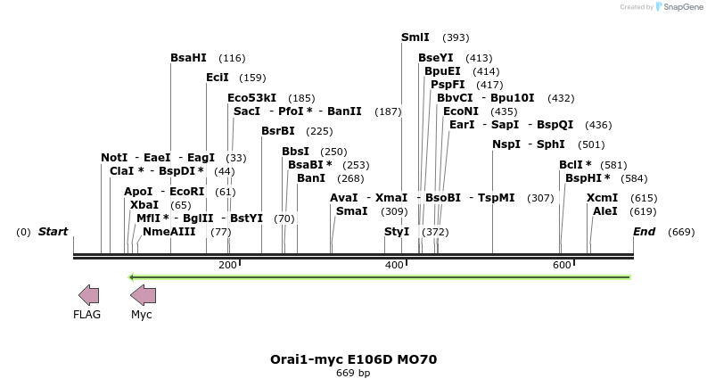 28603_map