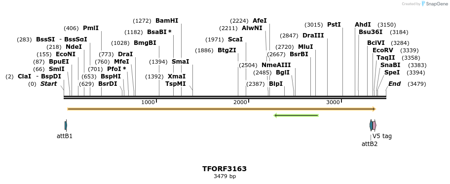 286032_map