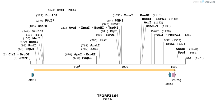 286035_map