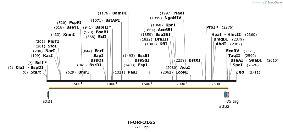 286038_map
