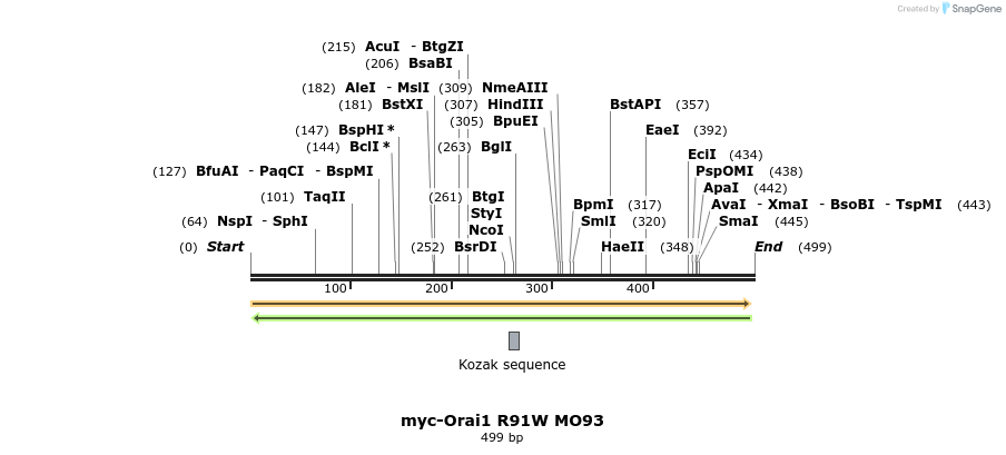 28604_map