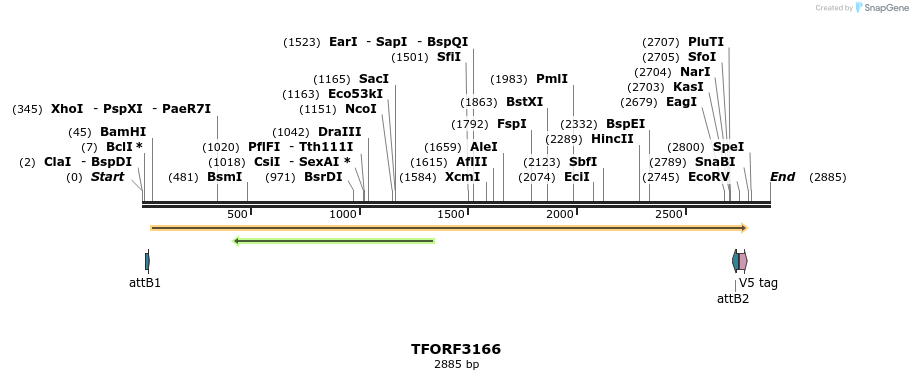 286041_map