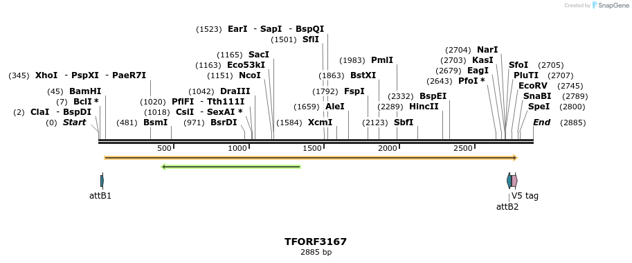 286044_map