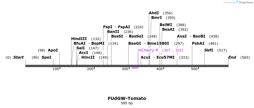 28605_map