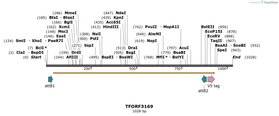 286050_map