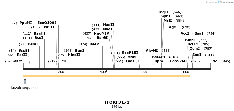 286056_map