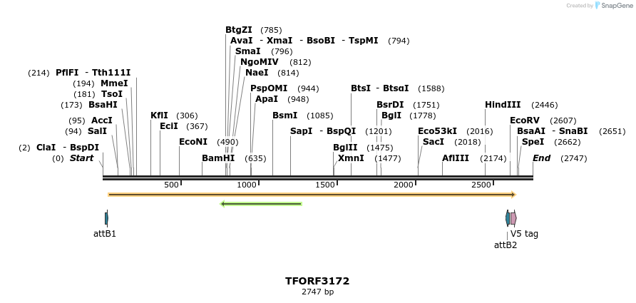 286059_map