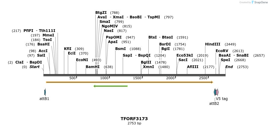 286062_map