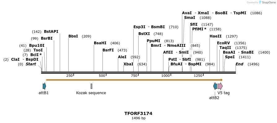 286065_map