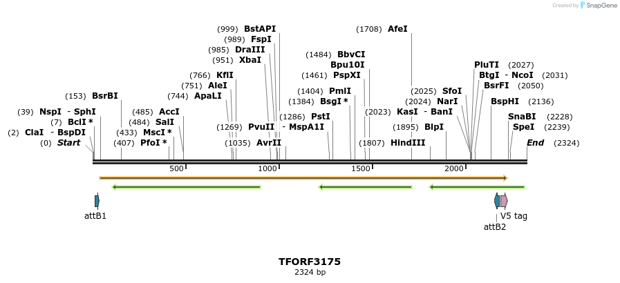 286068_map